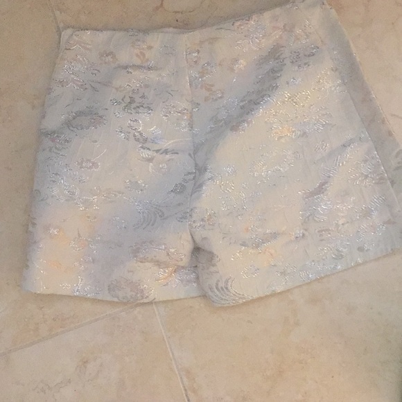 Dressy Shorts - Picture 4 of 4